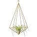 Mkono Hanging Air Plant Holder Modern Geometric Planter with Chain Tillandisia Container Himmeli Wall Decor, Gold