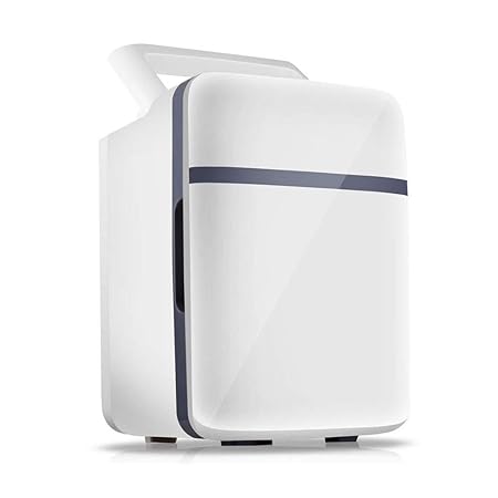 LYN Mini-Kühlschrank Cooler & Warmer 10L Kapazität, kompakt, tragbar und leise, AC + DC-Stromversorgung