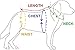 FUNNYDOGCLOTHES Dog Skirt Diaper Female Sanitary Pant Dress Ruffles Cotton Small Pet Cat (Pink, Small: Waist 6