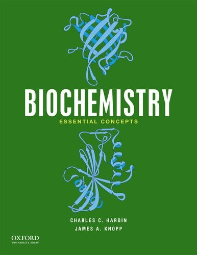 Biochemistry Essential Concepts (Paperback)