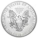 2014 American Silver Eagle Coin