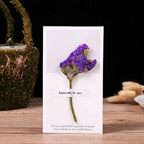 5ピースレターギフトカード母の日メッセージ真の花手紙花収納封筒 Pcソフト おもちゃ B04rd1px 正規品送料無料 激安超特価 C 新作製品 世界最高品質人気 腕時計 100 品質保証