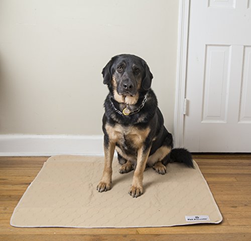 image for Pet Parents Washable Dog Pee Pads (2pack) of 34x36