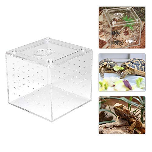 Transparent Reptile Box Acrylic Insect Viewing Box Breeding Tanks Container for Spider Tarantulas Geckos Crickets Snails Hermit Crabs 3.9x3.9x3.5inch