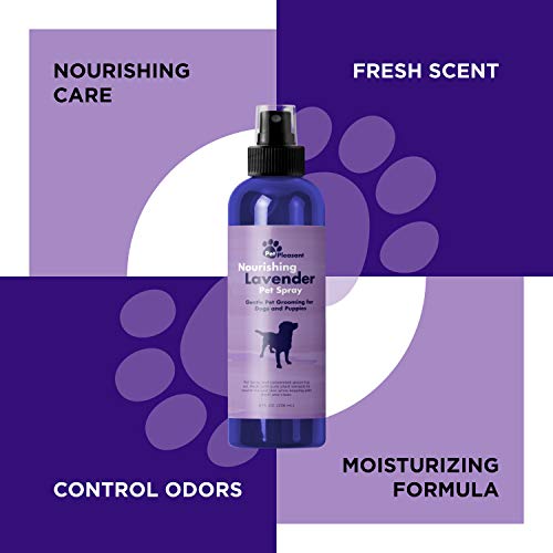 Pet Odor Eliminator Spray for Dogs - Dog Spray For Smelly Dogs and Dog Calming Spray with Lavender Essential Oil - Pet… - Image 7