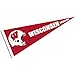 UW Badgers Full Size Football Helmet Pennant