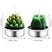 Outee Cactus Tealight Candles 12 Pack Handmade Delicate Succulent Cactus Candles Flameless Aromatherapy 12 Designs for for Birthday Party Wedding Spa