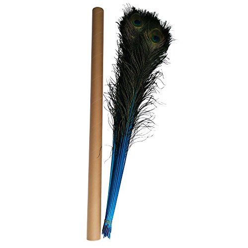 Peacock feathers,Hgshow 25 Pcs Bleached & Dyeing feather Long pole 28-30 inches