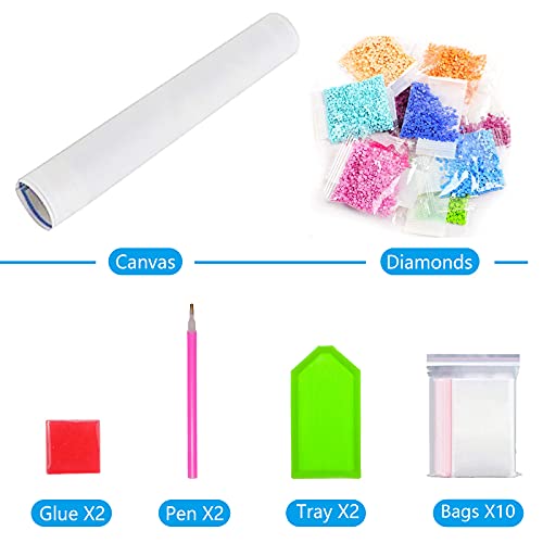 5D Diamond Painting Kits for Adults Kid Beginners, 5 Sets Full Drill Crystal Rhinestone Embroidery Cross Stitch Diamond Painting for Wall Decorations