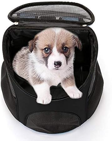 double dog backpack