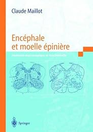 Encéphale et moelle épinière