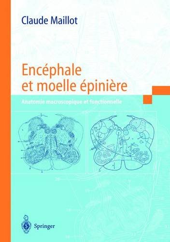 Encéphale et moelle épinière