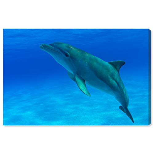 The Oliver Gal Artist Co. Nautical and Coastal Wall Art Canvas Prints 'Bottleno…