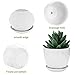 Brajttt Flower Pots and Transplanter 5.5 Inch Cylinder Ceramic Plant Pots with Connected Saucer, Planters for Succuelnt and Little Snake Plants (4 Pack, White)