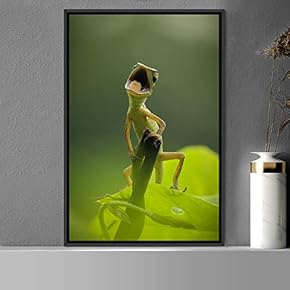 signwin Framed Canvas Wall Art Reptile Contemporary Dramatic...