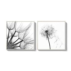 2 Piece Framed for Living Room Bedroom Transparent...