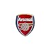 ARSENAL SOCCER FOOTBALL BADGE / EMBLEM / LOGO PIN BUTTON