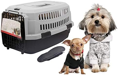 ZUOZUOZUO Caja De Aire para Mascotas Perro Grande Gato ...