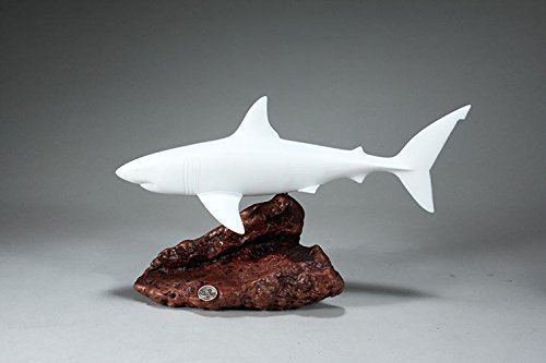Great White Shark Sculpture by John Perry 15 in long Pellucida Statue on Burl Wood - Thumbnail 2