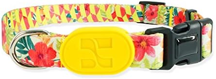 Adjustable Dog Collar, with Metal D Ring and Heavy Duty Buckle, Fashion and Cute Pattern for Daily Training, Dog Walking, Running, Jogging Perfect for Small Dogs, Medium Dogs, Large Dogs - Flower
