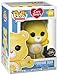 Funko Pop! Animation: Care Bears - Funshine Bear Chase Variant Glow in The Dark Vinyl Figure (Includes Compatible Pop Box Protector Case)