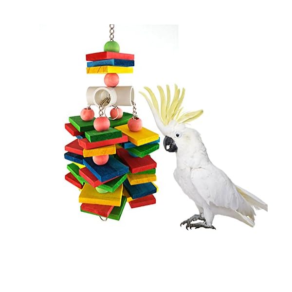 parrot chew toys