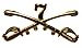US Army 7th Cavalry Crossed Sabres pin