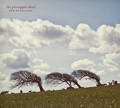 Album Art for What We Have Sown by The Pineapple Thief