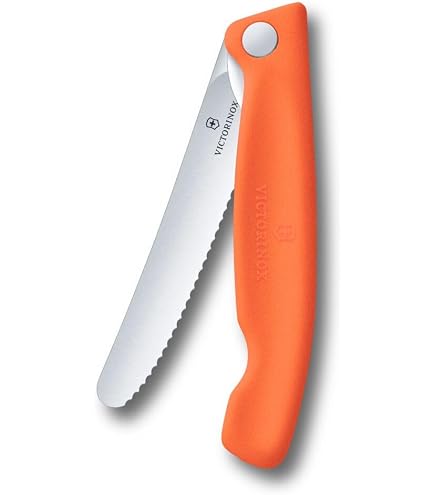 Amazon.com: Victorinox 2-1/2-Inch Folding Blade Knife, Red Alox