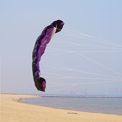 Besra New Arrival Huge 74inch Dual Line Parachute Stunt Kite with Flying Tools 1.9m Power Parafoil Kitesurfing Training kites Outdoor Fun Sports for Beach (74inch Purple)