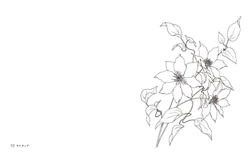 花のぬりえ帖 樹に咲く花 三村美雪 本 通販 Amazon