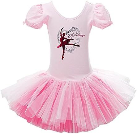 Little Girls Gymnastic Leotard Ballet Dress Dancing Tutu Outfit Skating Ballerina Dance Skirt 2-7 T