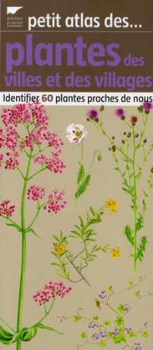 Petit atlas des plantes des villes et des villages : Identifier 60 plantes proches de nous by (Paperback)