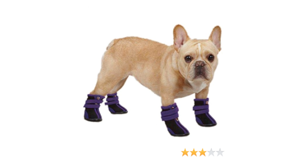 high top dog boots