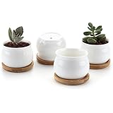 T4U 2.75 Inch Ceramic White Jar Shape Design succulent Plant Pot/Cactus Plant Pot Flower Pot with bamboo tray/Container/Planter White Package 1 Pack of 4