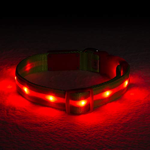 Blazin' Safety LED Dog Collar - USB Rechargeable with Water Resistant Flashing Light - Large Christmas