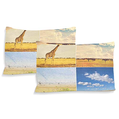 CHASOEA Duvet Cover Set African Safari Collage Lanscape with Native Animals Grassland Savannahs Mamals Decorative 3 Piece Bedding Set with 2 Pillow Shams Twin Size