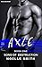 Sons of Destruction: Axle by 