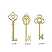 Aokbean Mixed Set of 30 Vintage Skeleton Keys in Antique Gold - Set of 30 Keys(Gold)