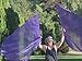 PURPLE Shimmer Angel Wing Catch the Fire Worship Flags (single layer pair)