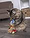 Petlinks Parrot Tweet Electronic Sound Cat Toy, Catnip Filled, Battery Powered - Randomly Selected Color, One Size