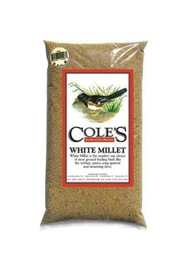 Cole's MI20 White Millet Bird Seed, 20-Pound by Cole's Wild Bird Products