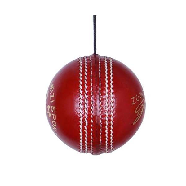 Mozi Sports Leather Hanging Cricket Ball with Rope for Knocking