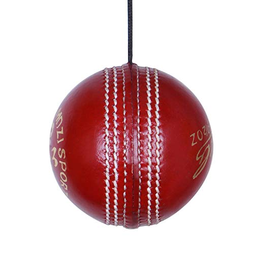 Mozi Sports Leather Hanging Cricket Ball with Rope for Knocking