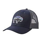 Patagonia Fitz Roy Bison Trucker Hat (Navy Blue)