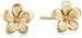 Amazon Essentials 14k Yellow Gold Flower Stud Earrings, (previously Amazon Collection)