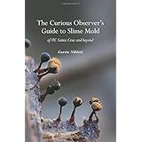 The Curious Observer's Guide to Slime Mold of UC Santa Cruz and Beyond