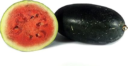 Fresh Water Melon, Kiran, 1 Pc