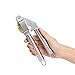 Garlic Press by ADYZON | Best Professional Stainless Steel Mincer - Silicone Peeler Included - For Pampered Chef, Kitchen Aid - Less Time Cooking, More Time Living