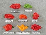 Brand New! 240 Pcs, Pepper Seeds,8 Worlds Hottest Pepper , RARE Chili Pepper Seeds